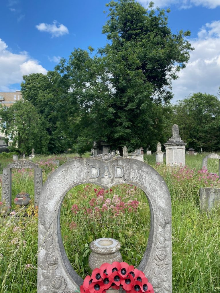 Joe Placeholder: Interee of the Month